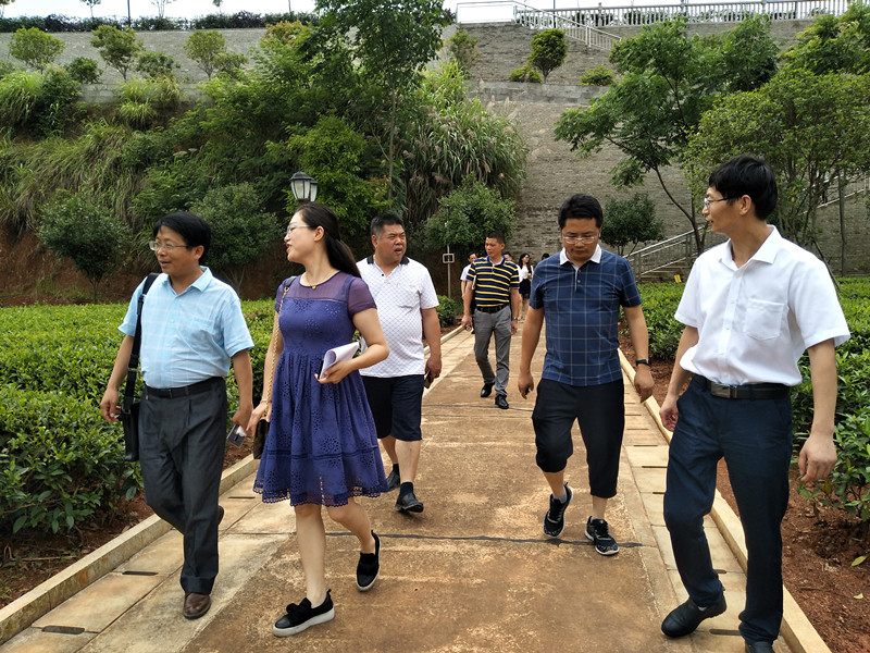 長沙云游茶業(yè)有限公司,湖南綠茶,紅茶價格,長沙毛尖批發(fā),云游陶餈禮盒,云游茶業(yè)
